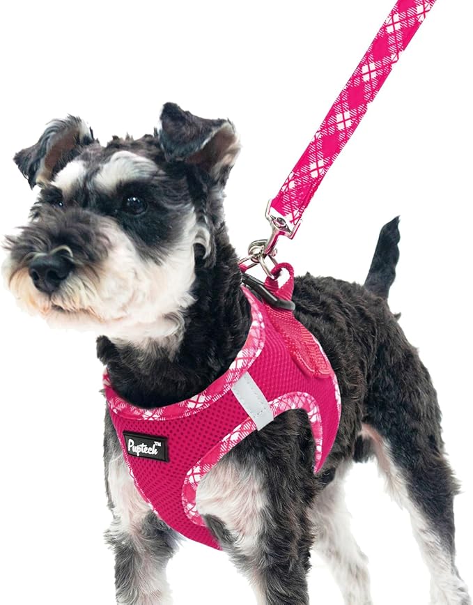 PUPTECK Dog Harness and Leash Set by PUPTECK