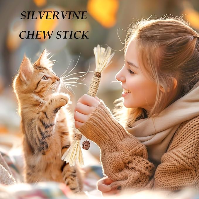 Cat Toys - Image 2