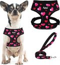 PUPTECK Soft Mesh Dog Harness and Leash Set Pet Puppy Cat Comfort Padded Vest by PUPTECK