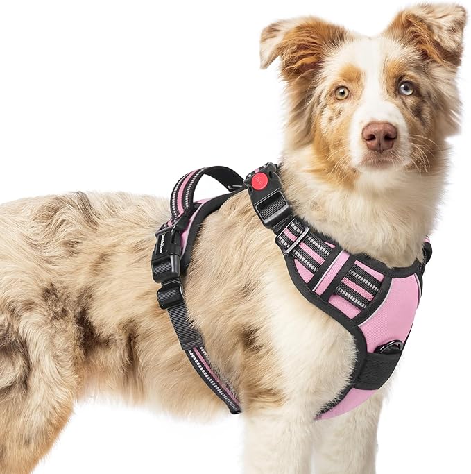 rabbitgoo Dog Harness Medium Sized, No Pull Pet Harness by rabbitgoo