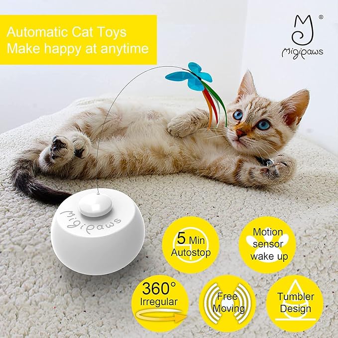 Migipaws Interactive Cat Toys, Butterfly & Feather Kitten Toy, Automatic - Image 2
