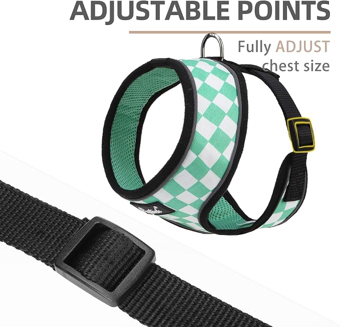 PUPTECK Soft Mesh Dog Harness and Leash Set Pet Puppy Cat Comfort Padded Vest - Image 3