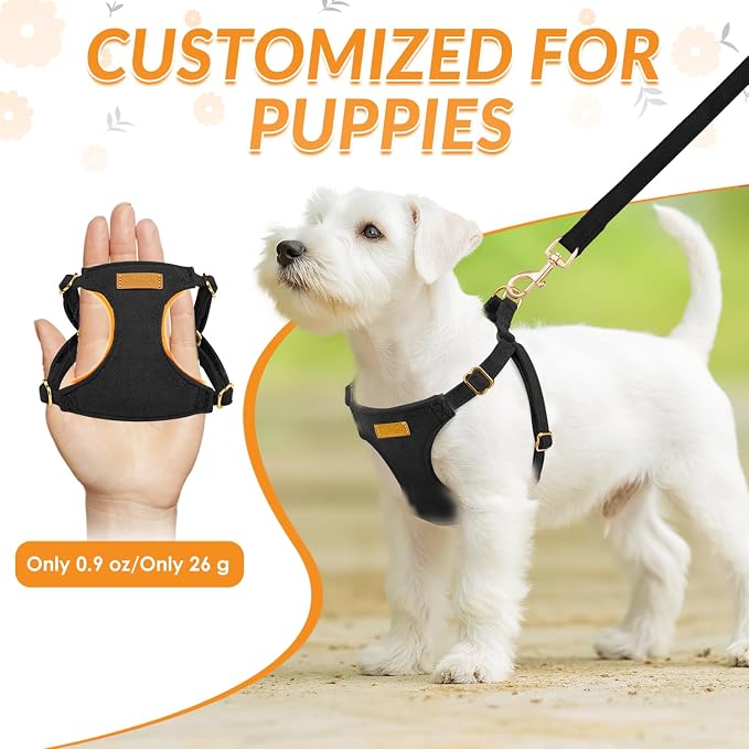 SlowTon Dog Harness Small Sized Dog - Image 2