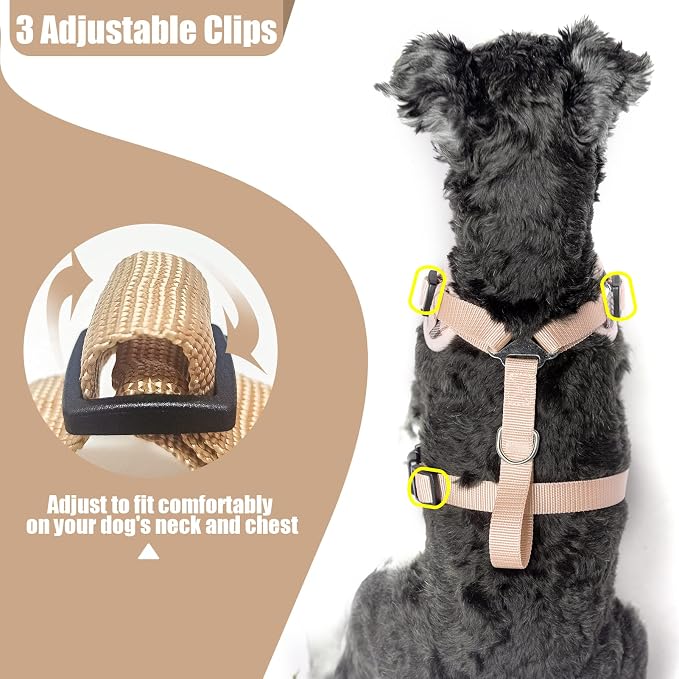 PUPTECK Small Dog Harness and Leash Set, No Pull Adjustable Puppy Cat Harness - Image 5
