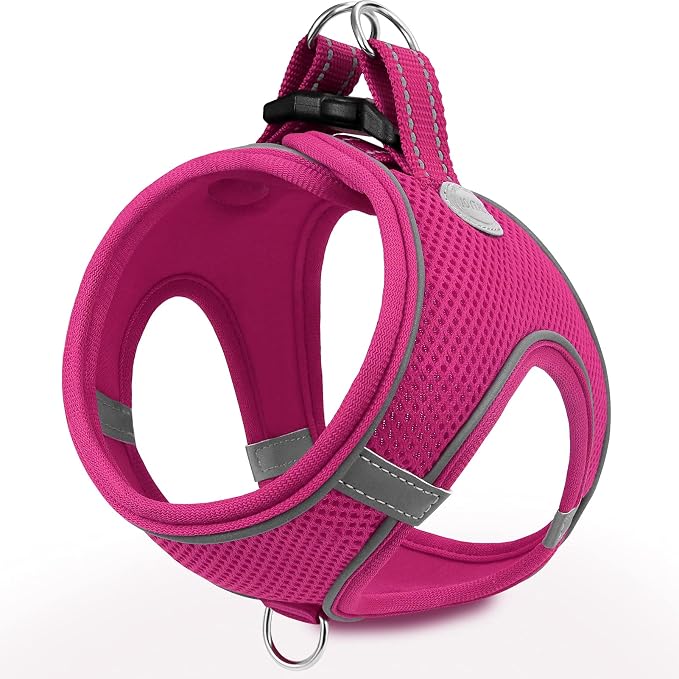 Joytale Small Dog Harness, Breathable Mesh Step-in Vest, Reflective Soft Padded by Joytale