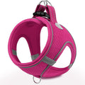 Joytale Small Dog Harness, Breathable Mesh Step-in Vest, Reflective Soft Padded by Joytale