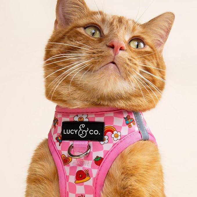 Lucy & Co. Cutie Patootie Step-in Cat Harness & Leash Bundle – Reflective - Image 6