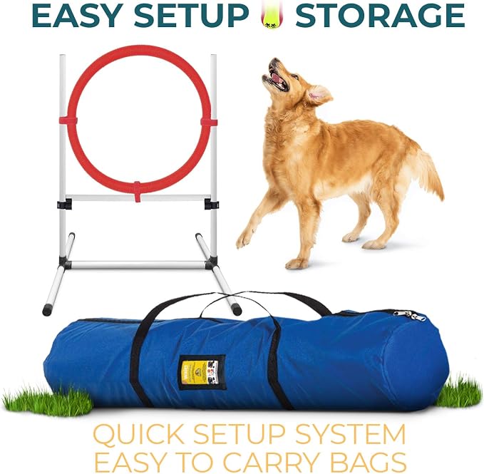 Dog Agility Training Equipment - Image 5