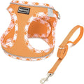 Mercano Soft Mesh Dog Harness and Leash Set, No-Chock Step-in Reflective by Unknown