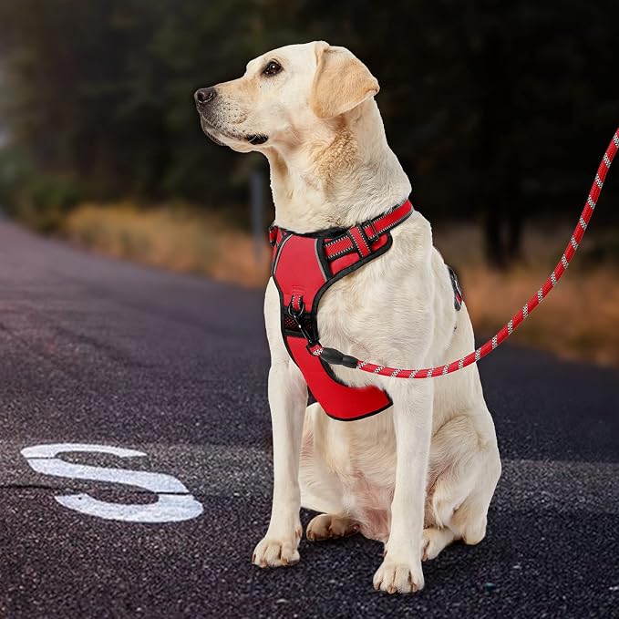 IVY&LANE No Pull Dog Harness for Small Dogs, Dog Vest Harness - Image 6