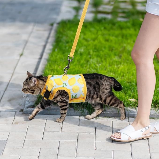 BINGPET Cat Harness and Leash Set Escape Proof - Image 6