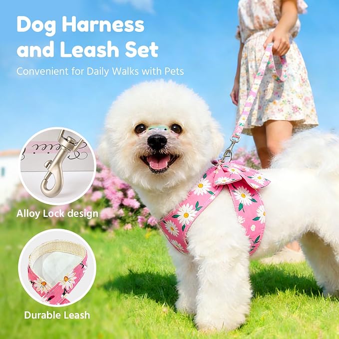 BAEJMJK Dog Harness and Leash Set - Image 4