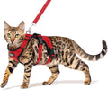 PUPTECK Cat Harness and Leash Set Escape Proof by PUPTECK