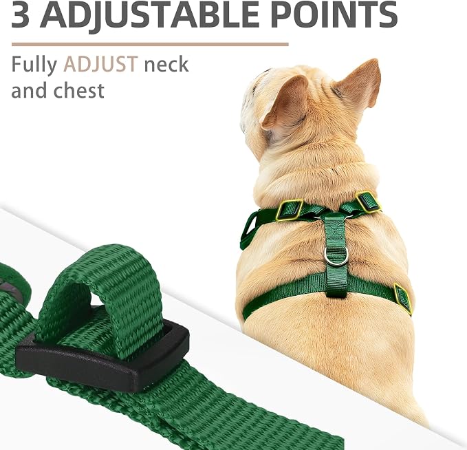 PUPTECK Christmas Small Dog Harness and Leash Set, No Pull Adjustable Puppy Cat - Image 2