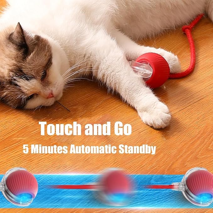 Interactive Cat Toy, Electric Dog BallToy, Cat Toys - Image 6