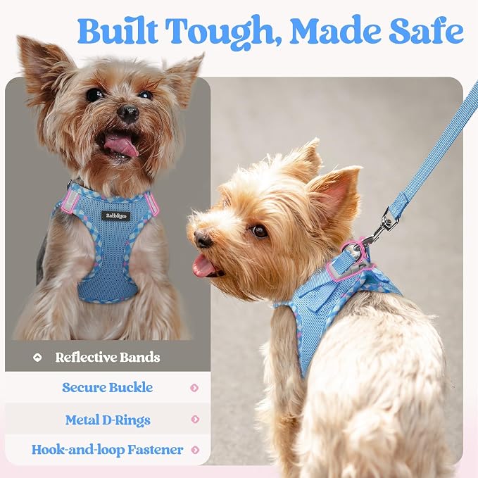 rabbitgoo Dog Harness Small Sized and Leash Set, Step in Soft Light Puppy Vest - Image 7