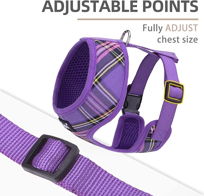 PUPTECK Soft Mesh Dog Harness and Leash Set Pet Puppy Cat Comfort Padded Vest - Image 3