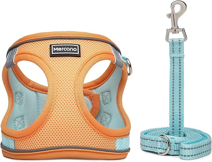 Mercano Soft Mesh Dog Harness and Leash Set, No-Chock Step-in Reflective - Image 2