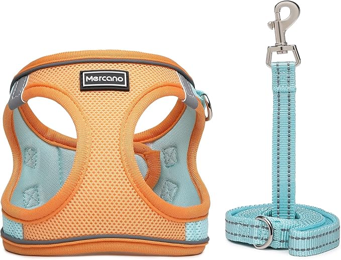 Mercano Soft Mesh Dog Harness and Leash Set, No-Chock Step-in Reflective - Image 2