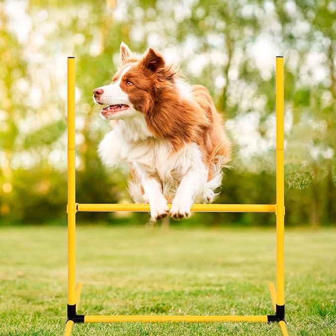 Complete Dog Agility Course Set | Backyard Training Equipment - Image 5