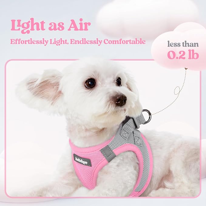 rabbitgoo Dog Harness Small Sized and Leash Set, Step in Soft Light Puppy Vest - Image 4