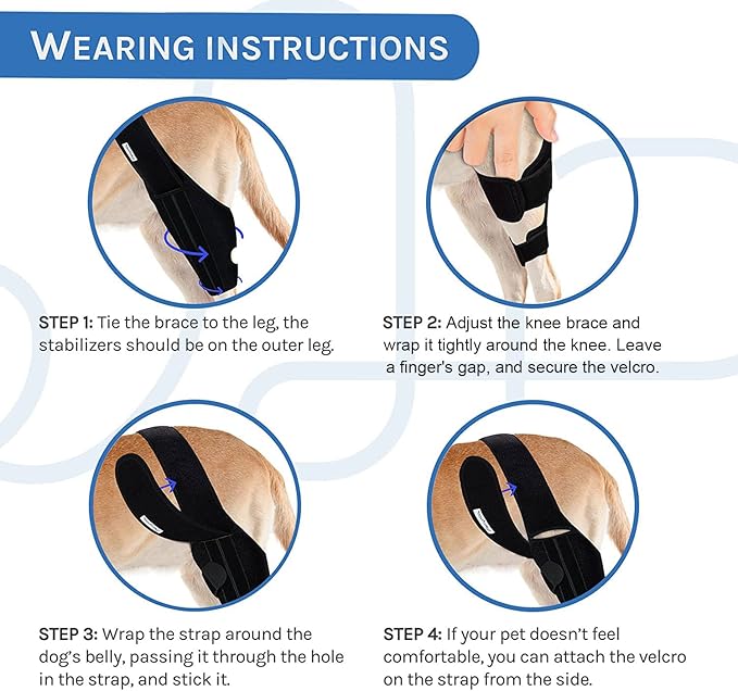 Dog Knee Brace for Torn ACL Hind Leg, Canine Leg Support for ACL/CCL & Cruciate - Image 4