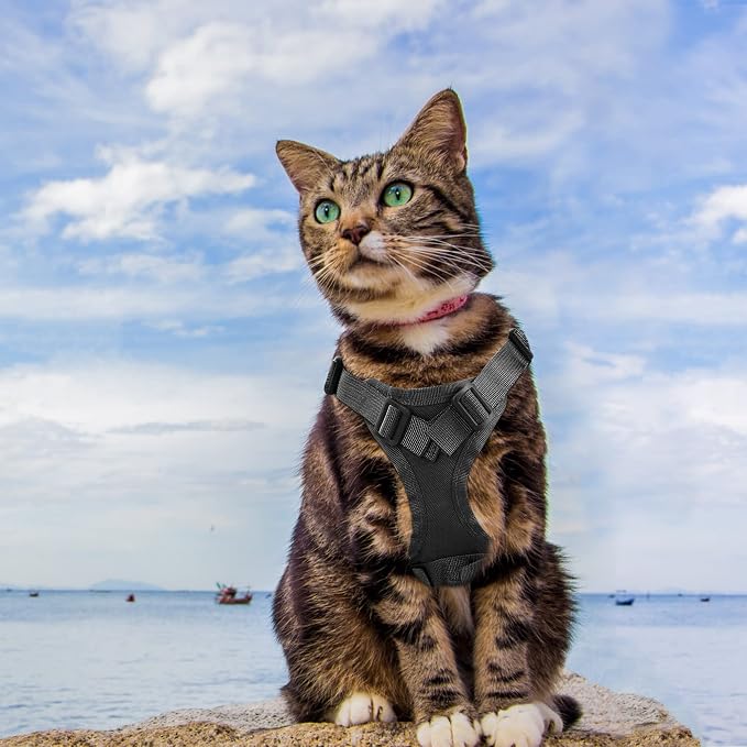 AIWAI Tactical Cat Harness for Walking Escape Proof, Adjustable Pet Vest Harness - Image 4