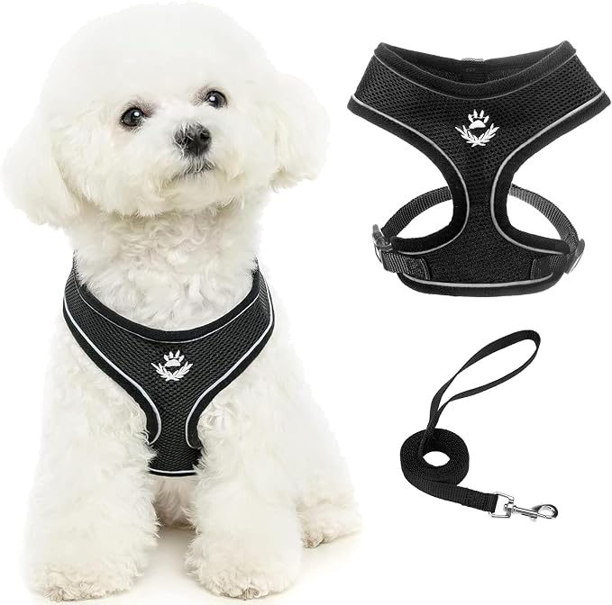 PUPTECK Soft Mesh Dog Harness and Leash Set Pet Puppy Cat Comfort Padded Vest by PUPTECK