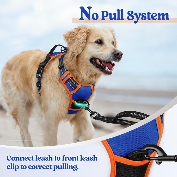 rabbitgoo Dog Harness No Pull - Image 5
