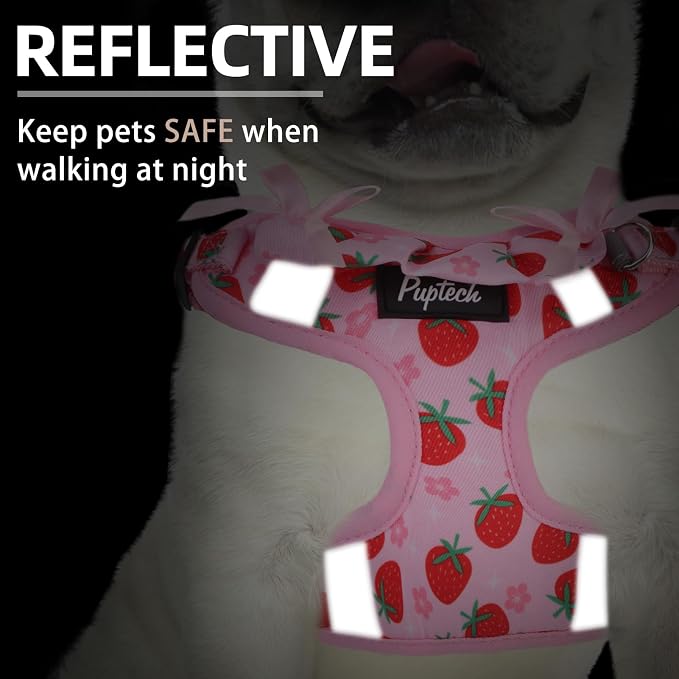 PUPTECK Dog Harness and Leash Set Small Sized, Step in No Pull Adjustable Puppy - Image 4
