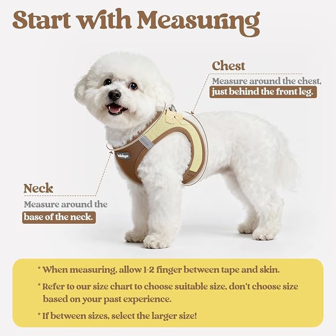 rabbitgoo Dog Harness Small Sized and Leash Set, Step in Soft Light Puppy Vest - Image 3