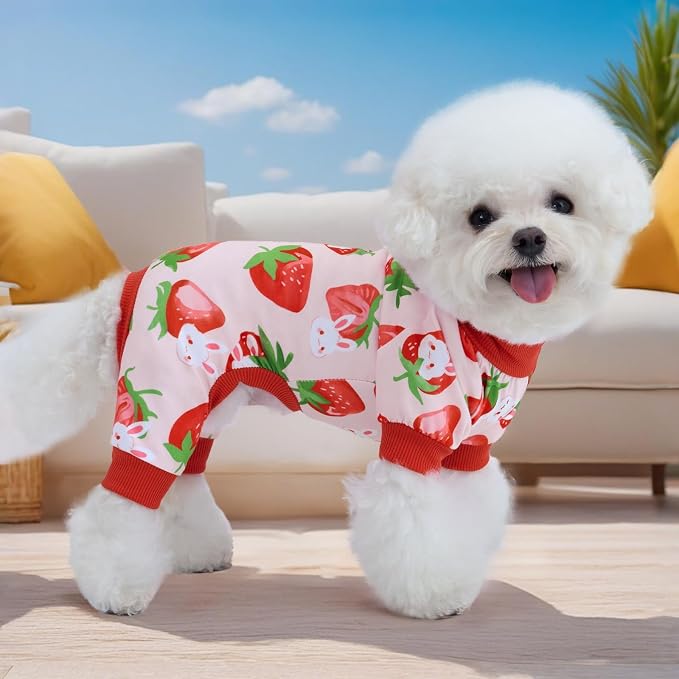 XPUDAC 4 Pieces Dog Pajamas Small Sized Dogs Boy Girl Strechy Soft Pjs Summer - Image 4