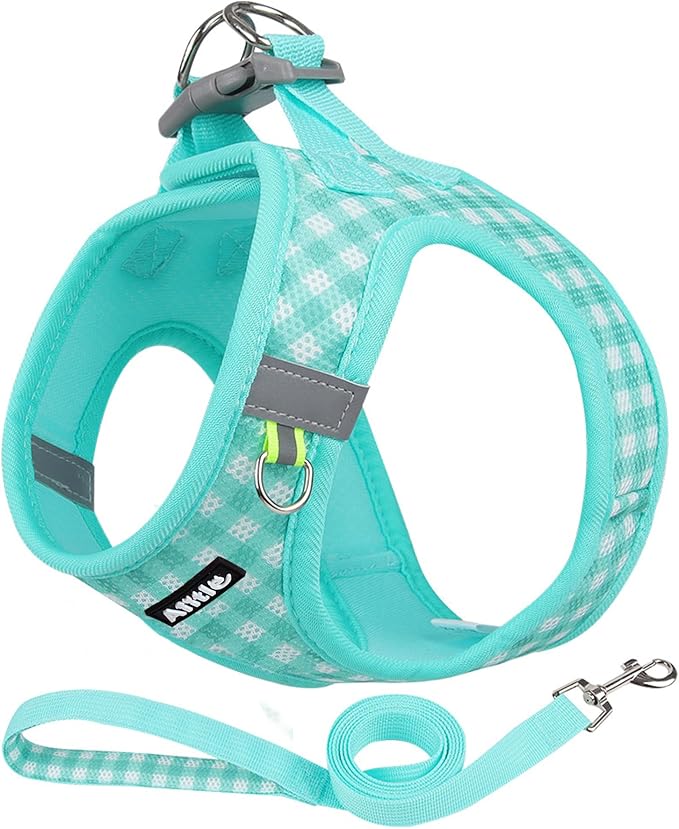 AIITLE Easy Walk Dog Vest Harness and Leash Set, Pet Supply No Pull, Breathable by AIITLE-FORPETSBETTERLIFE