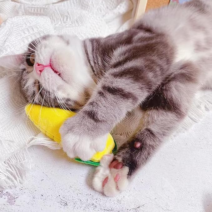 Cat Toys, Interactive Cat Toy for Indoor Cats, Soft and Durable Crinkle Sound - Image 5
