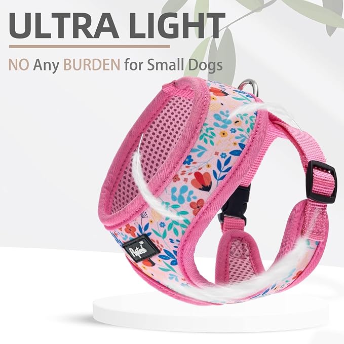 PUPTECK Soft Mesh Dog Harness and Leash Set Pet Puppy Cat Comfort Padded Vest - Image 5