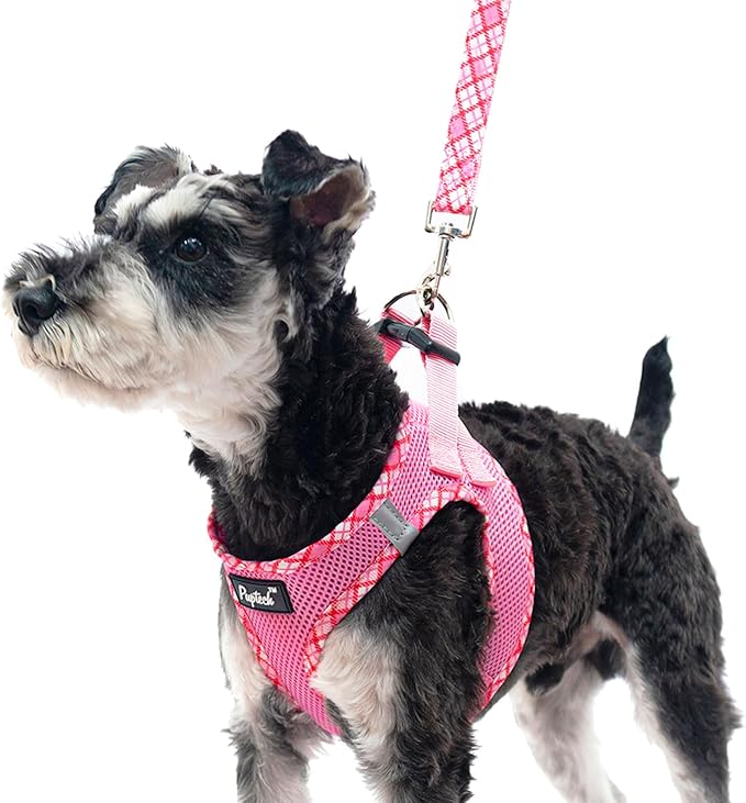 PUPTECK Dog Harness and Leash Set by PUPTECK