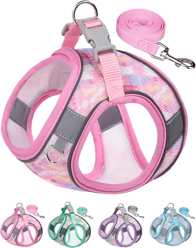 Dog Harness for Small Medium Dogs No Pull, Cat Harness and Leash Set, Step in by Aecllcea