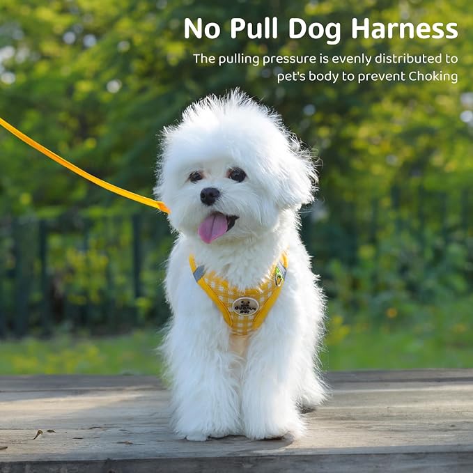 Gyuzh Dog Harness and Leash Set, Soft Mesh Breathable Small Dog Harness - Image 3