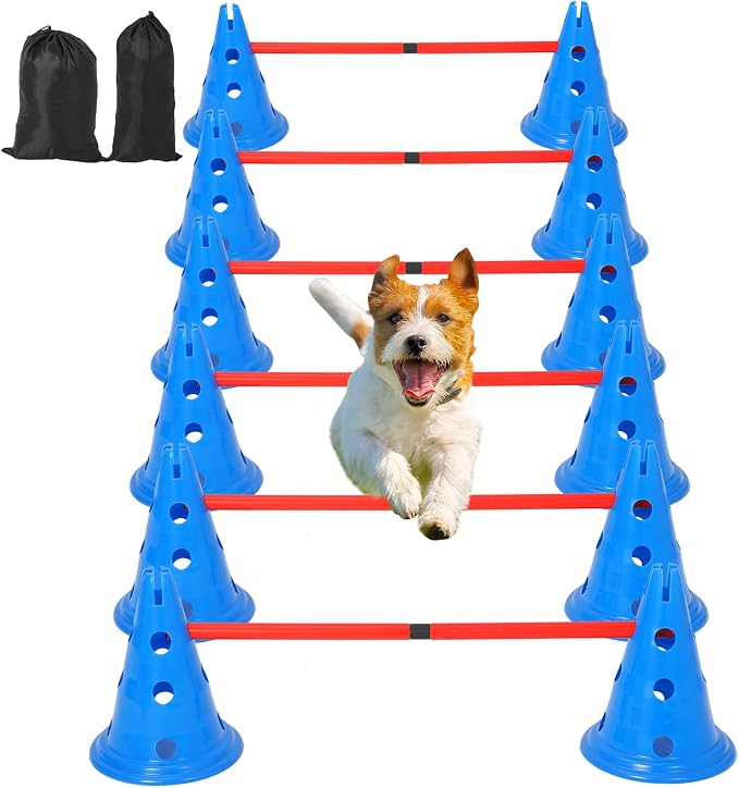 Portable Dog Agility Equipment by Unknown