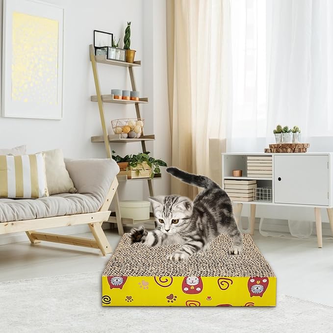 Kitten Starter Kit - Image 6