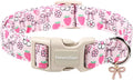 Lionet Paws Spring Dog Collar- Cute Strawberry Pink Dogs Collar by lionetpaws
