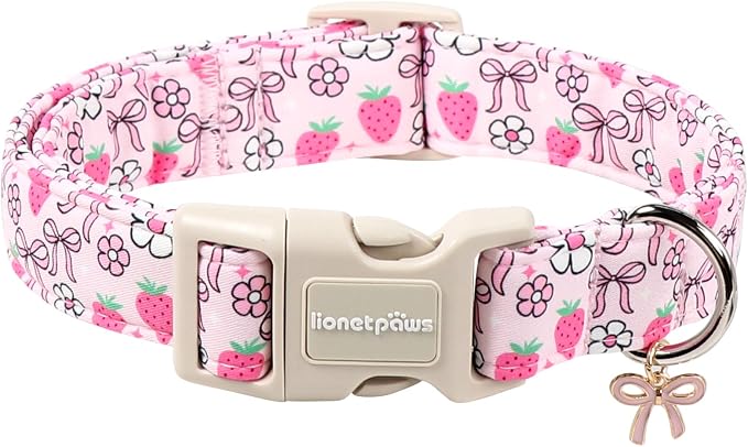 Lionet Paws Spring Dog Collar- Cute Strawberry Pink Dogs Collar by lionetpaws