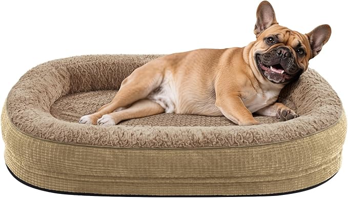 JOEJOY Orthopedic Dog Bed for Medium Dogs, Egg-Crate Memory Foam Pet Bed by JOEJOY