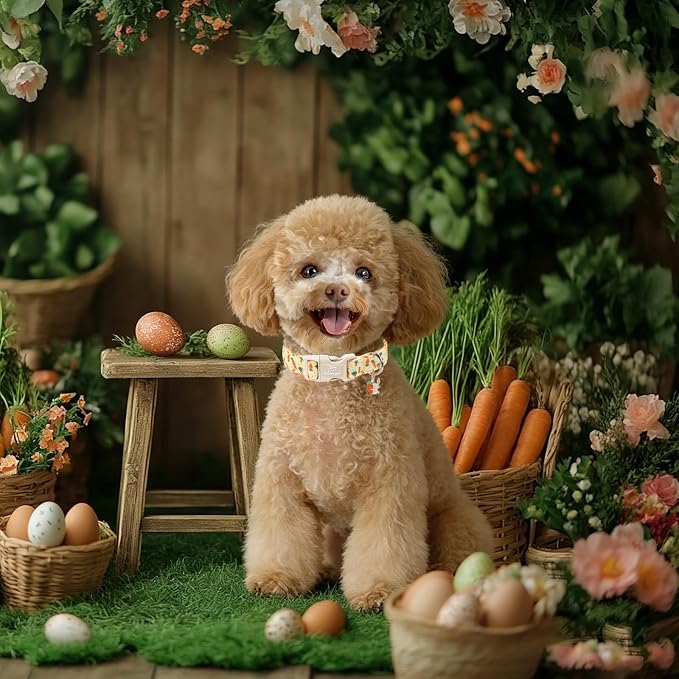 Easter Dog Collar for Giant Large Dogs - Image 2