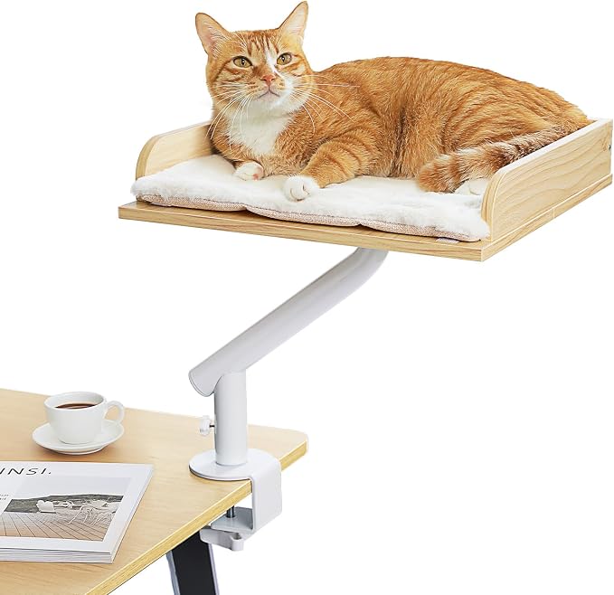PAWZ Road Cat Desk Bed, Wooden Cat Bed by PAWZRoad