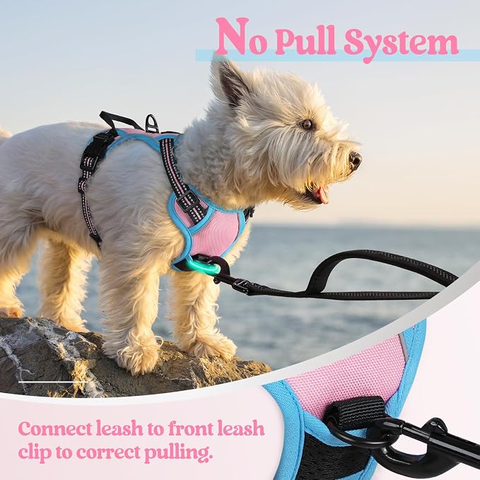 rabbitgoo Dog Harness No Pull - Image 5