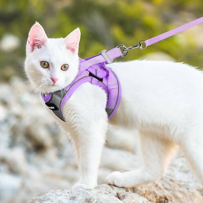 Dooradar Cat Harness and Leash Set, Escape Proof Lightweight Kitten Harness - Image 8