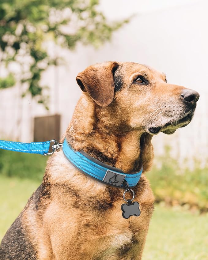 Joytale Dog Collar for Extra Large Dogs, Neoprene Padded and Adjustable - Image 3