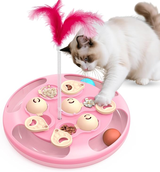 Cat Puzzle Toys Games Level 3 in 1 by CGBD