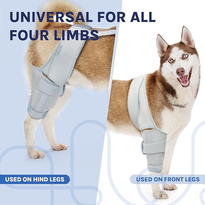 Dog Knee Brace for Torn ACL, Rear Leg Support for Joint Pain Relief and - Image 4
